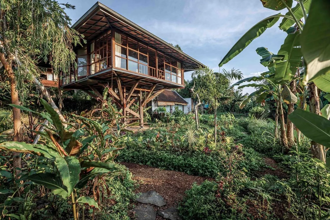 Grün Ubud