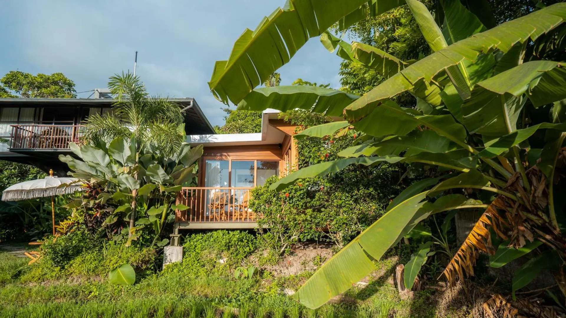 Grün Ubud 0*,