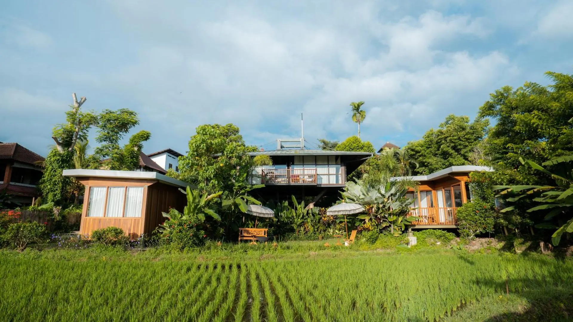 Grün Ubud Indonesien