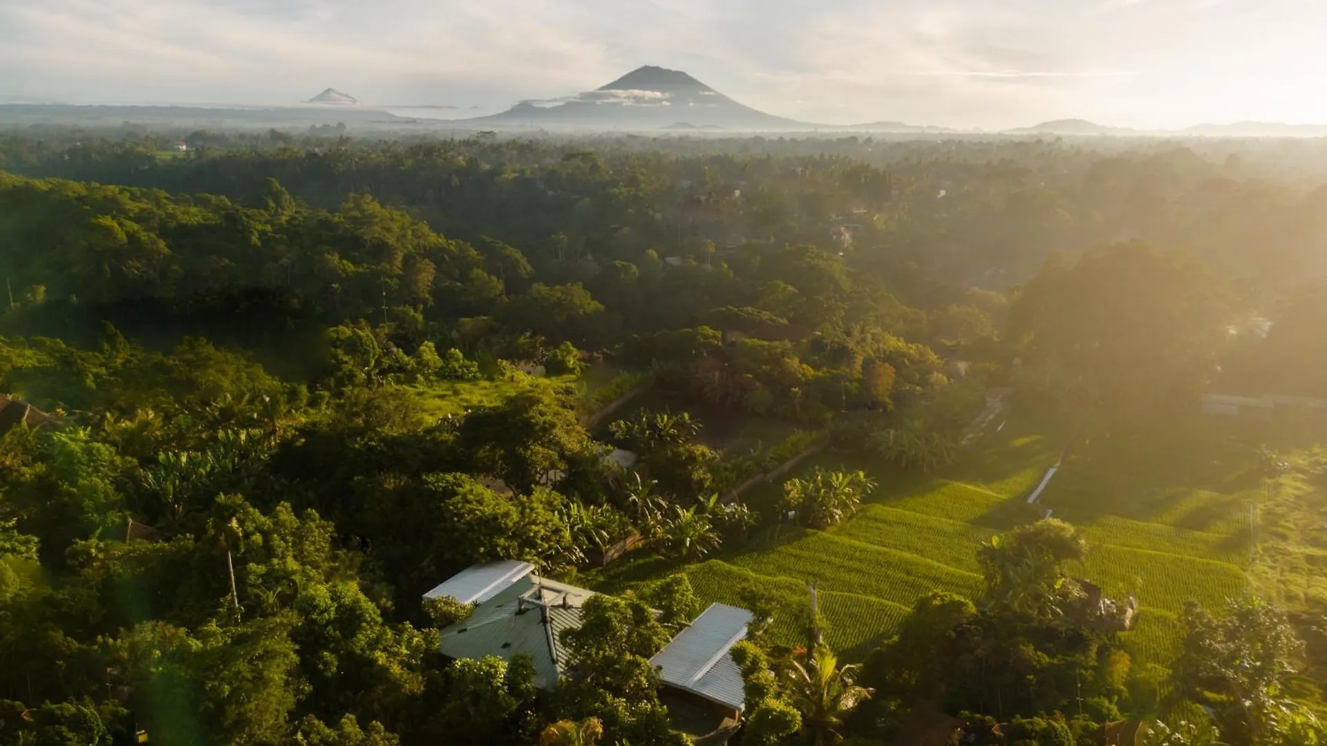 Villa Grün Ubud
