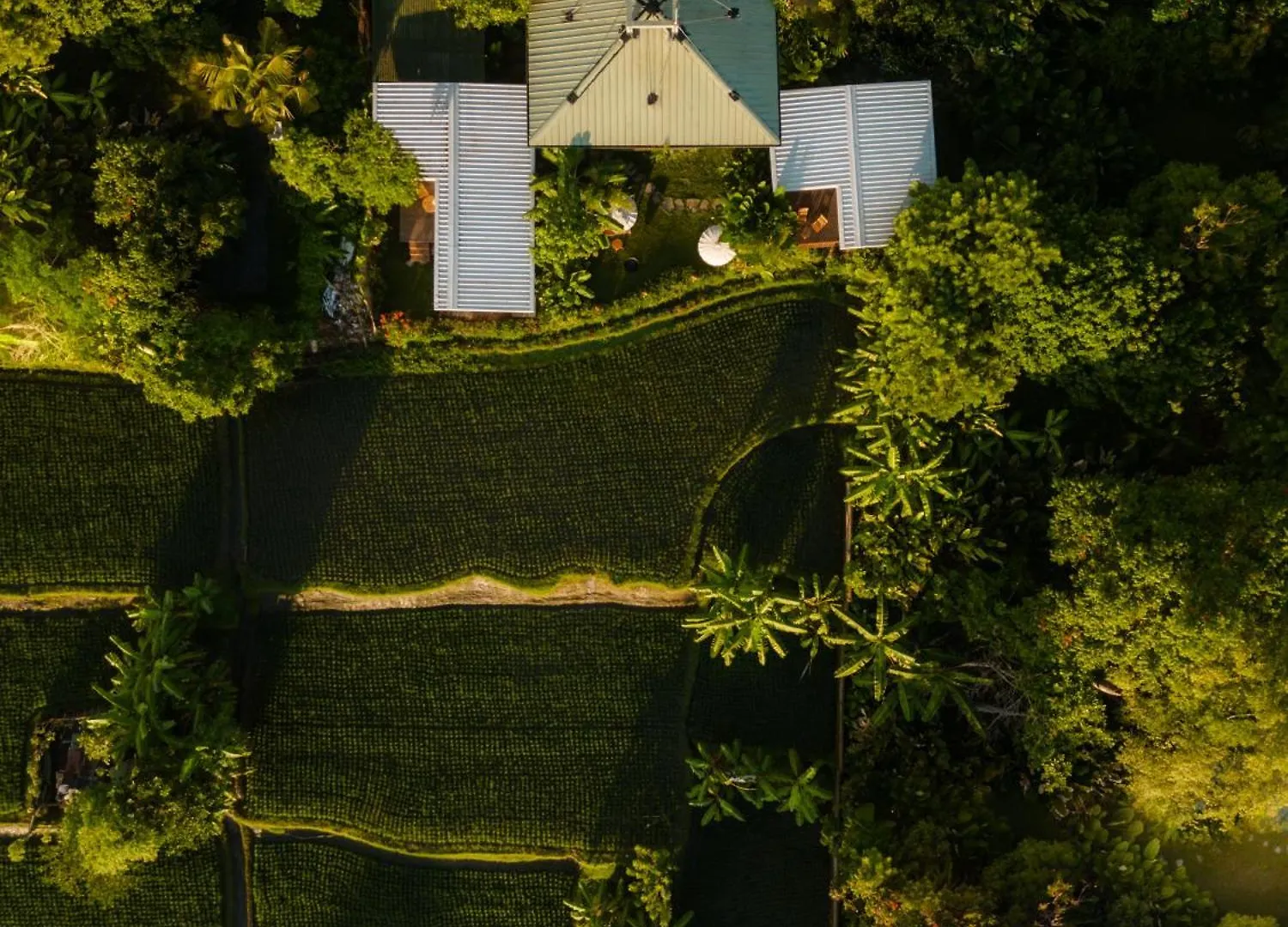 Grün Ubud Villa