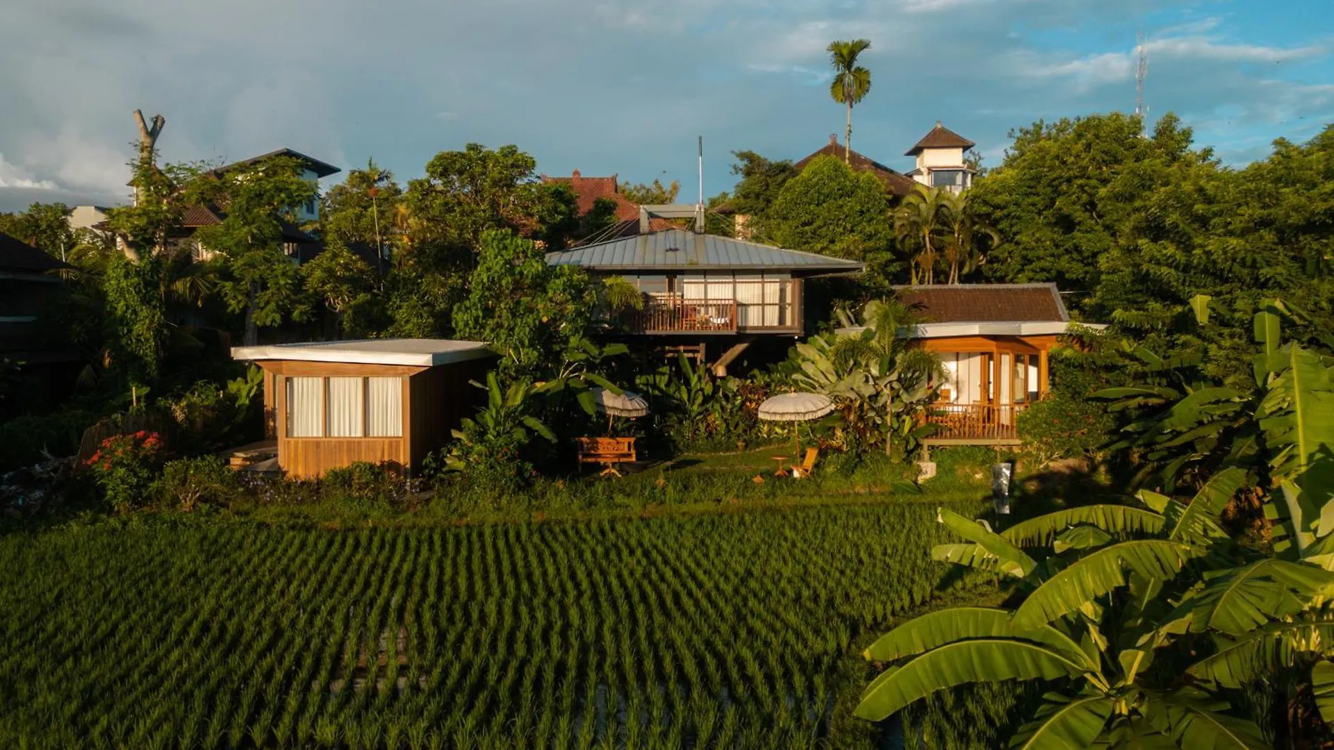 Grün Ubud Indonesien