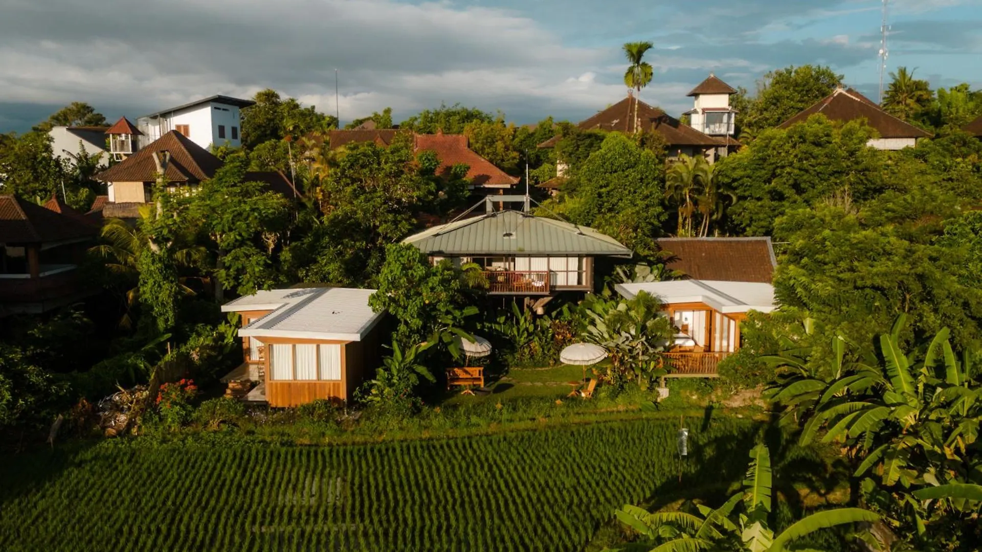 Grün Ubud