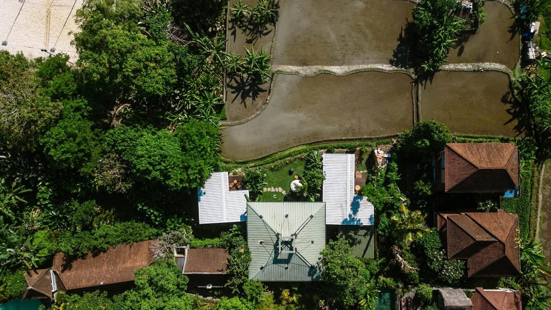 Grün Ubud